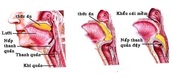 Khi Nào Cần Đi Khám Bác Sĩ